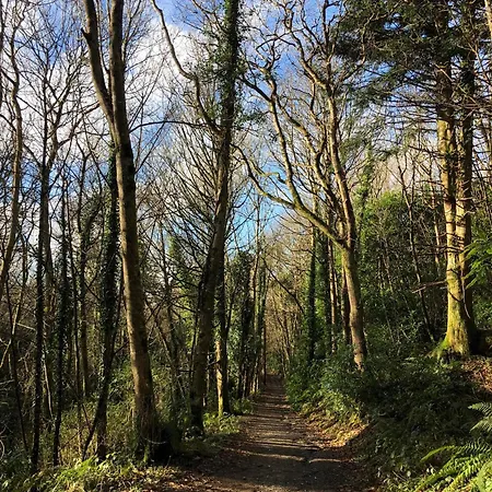 Дом отдыха Ballyhack By The Sea