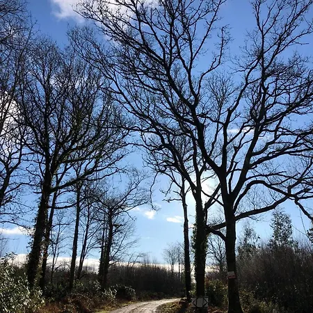 Ballyhack By The Sea Дом отдыха *