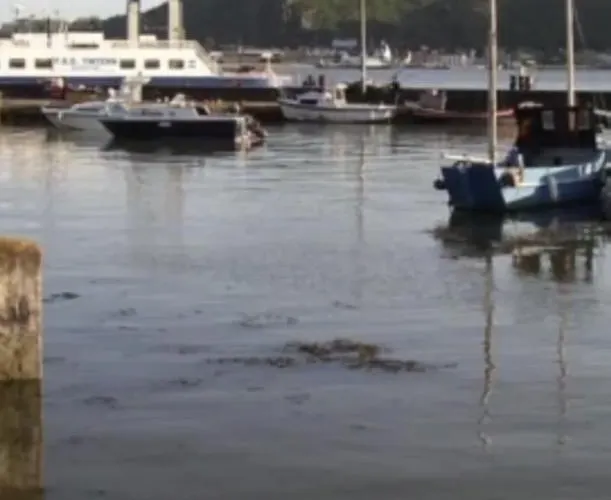 Ballyhack By The Sea 알더스타운