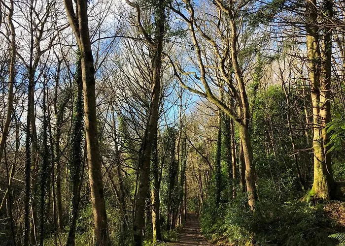 펜션 Ballyhack By The Sea