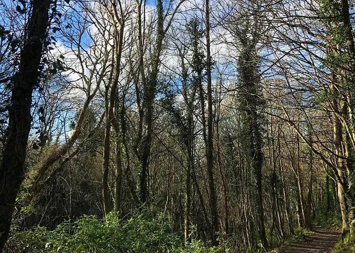 Ballyhack By The Sea * Arthurstown