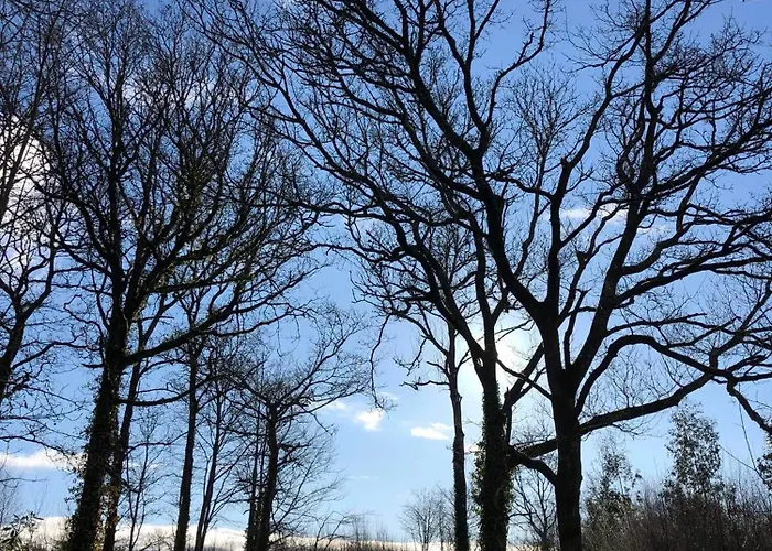 Ballyhack By The Sea 펜션 *